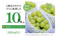 【数量限定】粒が詰まった高級シャインマスカット「亀光」3房2kg以上【2025年発送】（RO）D-133 【亀光 シャインマスカット 葡萄 ぶどう ブドウ 令和7年発送 期間限定 山梨県産 甲州市 フルーツ 果物】
