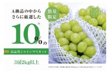 【数量限定】粒が詰まった高級シャインマスカット「亀光」3房2kg以上【2025年発送】（RO）D-133 【亀光 シャインマスカット 葡萄 ぶどう ブドウ 令和7年発送 期間限定 山梨県産 甲州市 フルーツ 果物】
