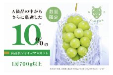 【数量限定】特別で特大な高級シャインマスカット「亀光」1房700g以上【2025年発送】（RO）B15-155 【亀光 シャインマスカット 葡萄 ぶどう ブドウ 令和7年発送 期間限定 山梨県産 甲州市 フルーツ 果物】