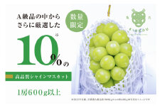 【数量限定】粒が詰まった高級シャインマスカット「亀光」1房600g以上【2025年発送】（RO）B-156 【亀光 シャインマスカット 葡萄 ぶどう ブドウ 令和7年発送 期間限定 山梨県産 甲州市 フルーツ 果物】