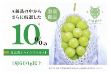 【数量限定】粒が詰まった高級シャインマスカット「亀光」1房600g以上【2025年発送】（RO）B-156 【亀光 シャインマスカット 葡萄 ぶどう ブドウ 令和7年発送 期間限定 山梨県産 甲州市 フルーツ 果物】