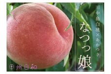 【品種指定】朝採れ！白桃系なつっこ 約1.8kg【2025年発送】（KSB）C-132【なつっこ 桃 もも モモ 令和7年発送 期間限定 山梨県産 甲州市 フルーツ 果物】