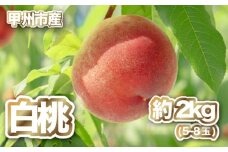【産直 甲州市 白桃 約2kg】50年以上受継ぐ目利き力！【2025年発送】（PJ）B15-166 【白桃 桃 もも モモ 令和7年発送 期間限定 山梨県産 甲州市 フルーツ 果物】