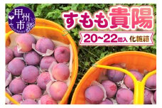 童夢のすもも「貴陽」化粧箱（20～22個）約2.2kg～約2.8kg【2025年発送】（DOM）B15-186 【貴陽 すもも スモモ プラム 令和7年発送 期間限定 山梨県産 甲州市 フルーツ 果物】