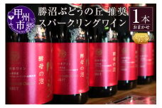 勝沼ぶどうの丘推奨 スパークリングワイン 赤（ルージュ）1本（KBO）B-688【ワイン スパークリングワイン 赤ワイン 甲州市 山梨県】
