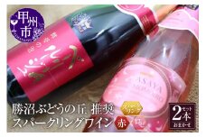 勝沼ぶどうの丘推奨 スパークリングワイン 赤＆ロゼ ２本セット（KBO）B2-655 【ワイン スパークリングワイン 赤ワイン ロゼワイン 甲州市 山梨県】
