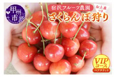 【宿沢フルーツ農園】さくらんぼ狩り『VIPコース』ペアチケットお土産付き約300g（1箱付き）（SF）D-145