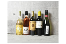 「ワインの祭典」多種多彩ワイン飲み比べ5本セット（KSB）E-640 【ワイン 赤ワイン 白ワイン ロゼワイン オレンジワイン スパークリングワイン 甲州市 山梨県】
