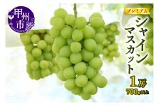 【宿沢フルーツ農園】プレミアムシャインマスカット1房（700g以上）【2025年発送】（SF）B12-145 【プレミアム シャインマスカット 葡萄 ぶどう ブドウ 令和7年発送 期間限定 山梨県産 甲州市 フルーツ 果物】