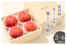甲州市産 大玉桃 4個入り 約1.5kg 自然農法【2025年発送】（BNC）B18-110【桃 もも モモ 令和7年発送 期間限定 山梨県産 甲州市 フルーツ 果物】