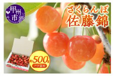 【宿沢フルーツ農園】のさくらんぼ 佐藤錦 約500g 化粧箱 バラ詰め【2025年発送】（SF）B12-144