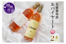 ルバイヤートロゼワイン２本セット(MG)　B12-651