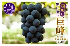 甲州市産種無し巨峰 約1.5kg（3房～4房）【2025年発送】（MG）B12-471 【巨峰 ぶどう 葡萄 ブドウ 令和7年発送 期間限定 山梨県産 甲州市 フルーツ 果物】