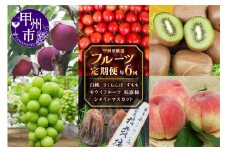 【定期便】甲州屋厳選 フルーツ定期便「年6回」【2025年発送】H-110【 さくらんぼ  白桃 桃 もも モモ 貴陽 すもも プラム シャインマスカット 葡萄 ぶどう ブドウ 枯露柿 キウイ 令和7年発送 期間限定 山梨県産 甲州市 フルーツ 果物】