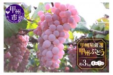 甲州屋厳選 甲州ぶどう 約3kg（4～7房）【2025年発送】B15-138 【甲州 ぶどう 葡萄 ブドウ 令和7年発送 期間限定 山梨県産 甲州市 フルーツ 果物】