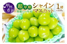 甲州市産『超早期 初夏のハウスシャインマスカット』約500g 1房【2025年発送】（MG）C-450 【シャインマスカット 葡萄 ぶどう ブドウ 令和7年発送 期間限定 山梨県産 甲州市 フルーツ 果物】