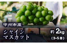 【農家厳選！】甲州市産 シャインマスカット 約2kg【2025年発送】（PJ）B15-144 【シャインマスカット 葡萄 ぶどう ブドウ 令和7年発送 期間限定 山梨県産 甲州市 フルーツ 果物