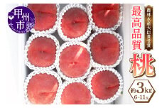 農林水産大臣賞経験のある最高品質の桃を感謝を込めて朝どれでお贈りします！約3kg（6～11玉）【2025年発送】（LMS）B18-415 【桃 もも モモ 令和7年発送 期間限定 山梨県産 甲州市 フルーツ 果物】