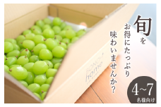甲州市産 たっぷり粒詰めシャインマスカット 約2kg 自然農法【2025年発送】（BNC）D-176【マスカット シャインマスカット 葡萄 ぶどう ブドウ 令和7年発送 期間限定 山梨県産 甲州市 フルーツ 果物】