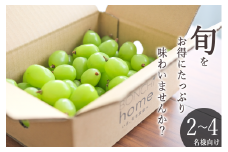 甲州市産 たっぷり粒詰めシャインマスカット 約1kg 自然農法 【2025年発送】（BNC）B18-426【マスカット シャインマスカット 葡萄 ぶどう ブドウ 令和7年発送 期間限定 山梨県産 甲州市 フルーツ 果物】