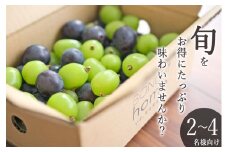 甲州市産 たっぷり粒詰めブドウMIX（シャインマスカット×ピオーネ）約1kg 自然農法 【2025年発送】（BNC）B15-490【シャインマスカット ピオーネ ぶどう 葡萄 ブドウ 令和7年発送 期間限定 山梨県産 甲州市 フルーツ 果物】