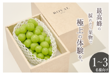 甲州市産 大粒シャインマスカット 1房入り 約700g 自然農法 【2025年発送】（BNC）B18-425 【シャインマスカット 葡萄 ぶどう ブドウ 令和7年発送 期間限定 山梨県産 甲州市 フルーツ 果物】