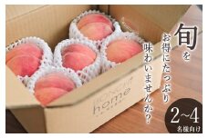 甲州市産 訳あり桃 約1.5kg 自然農法【2025年発送】（BNC）B-445 【桃 もも モモ 令和7年発送 期間限定 山梨県産 甲州市 フルーツ 果物】
