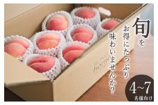甲州市産 訳あり桃 約3kg 自然農法【2025年発送】（BNC）C-460 【桃 もも モモ 令和7年発送 期間限定 山梨県産 甲州市 フルーツ 果物】