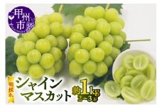 【宿沢フルーツ農園】シャインマスカット 約1.0kg (2～3房)【2025年発送】（SF）B-181 【シャインマスカット 葡萄 ぶどう ブドウ 令和7年発送 期間限定 山梨県産 甲州市 フルーツ 果物】