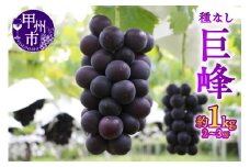 【宿沢フルーツ農園】巨峰 約1.0kg（2～3房）【2025年発送】（SF）B-183 【巨峰 ぶどう 葡萄 ブドウ 令和7年発送 期間限定 山梨県産 甲州市 フルーツ 果物】