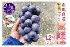 厳選！産地直送ぶどう「巨峰」（種なし）1.2kg以上（2～3房）【2025年発送】（KKH）B-492 【巨峰 ぶどう 葡萄 ブドウ 令和7年発送 期間限定 山梨県産 甲州市 フルーツ 果物】