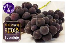 甲州屋厳選 種無し巨峰 1.5kg以上 3～4房【2025年発送】B15-139【巨峰 ぶどう 葡萄 ブドウ 令和7年発送 期間限定 山梨県産 甲州市 フルーツ 果物】