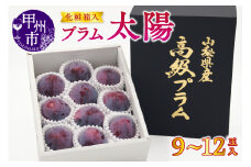 【宿沢フルーツ農園】プラム『太陽』（9～12玉）【2025年発送】（SF）B-194 【太陽 すもも スモモ 令和7年発送 期間限定 山梨県産 甲州市 フルーツ 果物】