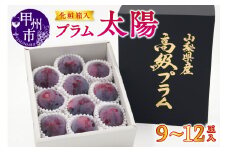【宿沢フルーツ農園】プラム『太陽』（9～12玉）【2025年発送】（SF）B-194 【太陽 すもも スモモ 令和7年発送 期間限定 山梨県産 甲州市 フルーツ 果物】