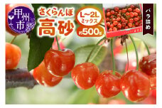 山梨県産 さくらんぼ 高砂（約500g）【2025年発送】（DOM）B-153
