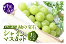 頬張る幸福感 ～緑の宝石・シャインマスカット～ 1kg以上（2～3房）【2025年発送】（RG）B-840 【シャインマスカット 葡萄 ぶどう ブドウ 令和7年発送 期間限定 山梨県産 甲州市 フルーツ 果物】