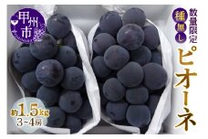 甲州市産 種なしピオーネ 約1.5kg【2026年発送】（MG）B12-473 【ピオーネ ぶどう 葡萄 ブドウ 令和8年発送 期間限定 山梨県産 甲州市 フルーツ 果物】