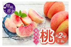 朝採れ！甲州市産桃 約2kg（5～8玉）【2025年発送】（RC）B12-436 【桃 もも モモ 令和7年発送 期間限定 山梨県産 甲州市 フルーツ 果物】