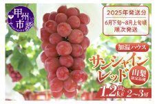 クール配送［お中元対応］山梨県限定品種 サンシャインレッド 合計1.2kg以上【2025年発送】（MS）F-111 【サンシャインレッド ぶどう 葡萄 ブドウ 令和7年発送 期間限定 山梨県産 甲州市 フルーツ 果物 クール便】