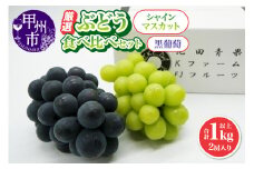 厳選 葡萄食べ比べセット 1.0kg以上 2房入り【2025年発送】（IS）B-474 【シャインマスカット 黒葡萄 ぶどう 葡萄 ブドウ 令和7年発送 期間限定 山梨県産 甲州市 フルーツ 果物】