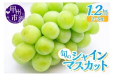 産地直送 山梨自然の恵み！旬のシャインマスカット 2～3房 1.2kg以上【2025年発送】（LKS）B12-160【シャインマスカット 葡萄 ぶどう ブドウ 令和7年発送 期間限定 山梨県産 甲州市 フルーツ 果物】