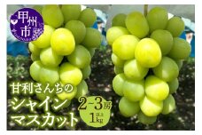 The Little Bee Special 甘利さんちのシャインマスカット 2～3房（1kg以上）【2025年発送】（DTD）B-836 【シャインマスカット 葡萄 ぶどう ブドウ 令和7年発送 期間限定 山梨県産 甲州市 フルーツ 果物】
