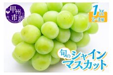 産地直送 山梨自然の恵み！旬のシャインマスカット 2～3房 1.0kg以上【2025年発送】（LKS）B-850 【シャインマスカット 葡萄 ぶどう ブドウ 令和7年発送 期間限定 山梨県産 甲州市 フルーツ 果物】