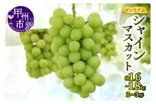 【宿沢フルーツ農園】プレミアムシャインマスカット約1.6～1.8kg（2～3房）【2025年発送】（SF）C-124 【プレミアム シャインマスカット 葡萄 ぶどう ブドウ 令和7年発送 期間限定 山梨県産 甲州市 フルーツ 果物】