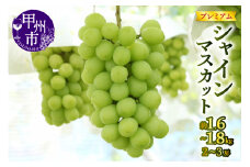 【宿沢フルーツ農園】プレミアムシャインマスカット約1.6～1.8kg（2～3房）【2025年発送】（SF）C-124 【プレミアム シャインマスカット 葡萄 ぶどう ブドウ 令和7年発送 期間限定 山梨県産 甲州市 フルーツ 果物】