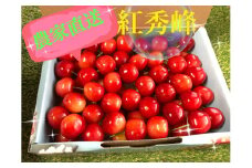 きらっきらの宝石箱 高級品種【紅秀峰】生産者直送【2025年発送】（ISI）B12-157