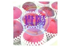 【生産者直送】でっかいじゃん！すももの王様 貴陽 12個（2個入り×6パック）【2025年発送】（ISI）B15-801 【貴陽 すもも スモモ 令和7年発送 期間限定 山梨県産 甲州市 フルーツ 果物】