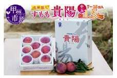 【宿沢フルーツ農園】すもも『貴陽』約1.5kg 化粧箱中玉（7～10玉）【2025年発送】（SF）B12-143 【貴陽 すもも スモモ 令和7年発送 期間限定 山梨県産 甲州市 フルーツ 果物】
