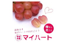 厳選 マイハート1房 500g以上 ハート形のかわいい葡萄【2025年発送】（IS）B15-457 【マイハート ぶどう 葡萄 ブドウ 令和7年発送 期間限定 山梨県産 甲州市 フルーツ 果物】