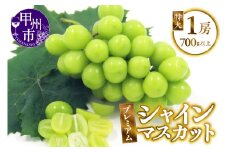 甲州市産 厳選 プレミアム特大シャインマスカット 1房入り 700g以上【2025年発送】（APX）B-196 【シャインマスカット 葡萄 ぶどう ブドウ 令和7年発送 期間限定 山梨県産 甲州市 フルーツ 果物】